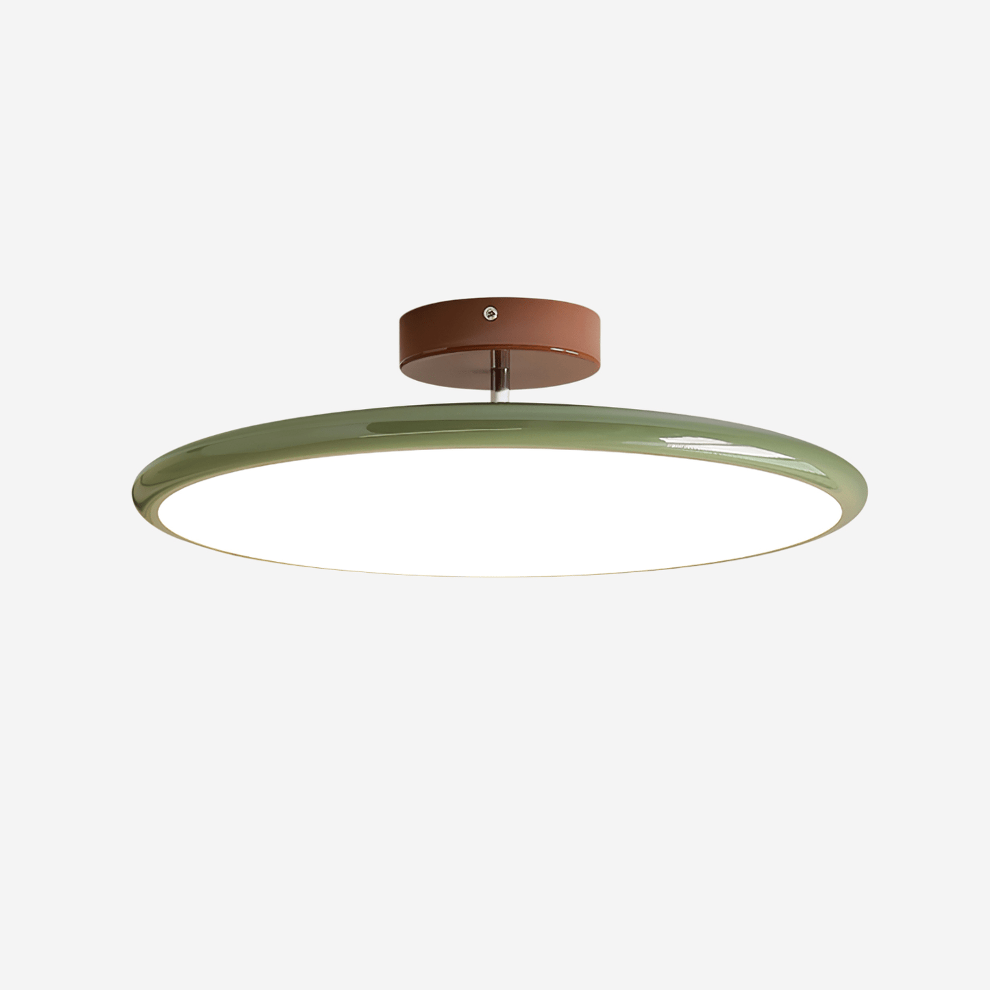 Disc Adjustable Ceiling Lamp