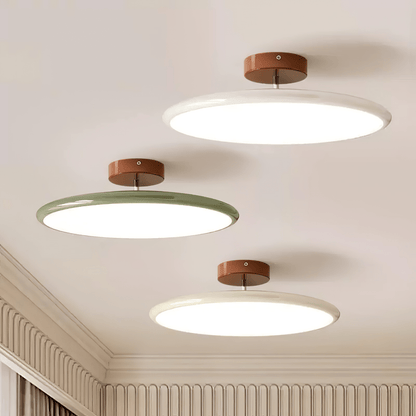 Disc Adjustable Ceiling Lamp
