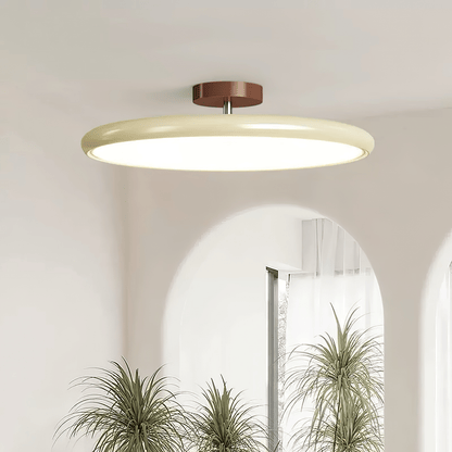 Disc Adjustable Ceiling Lamp