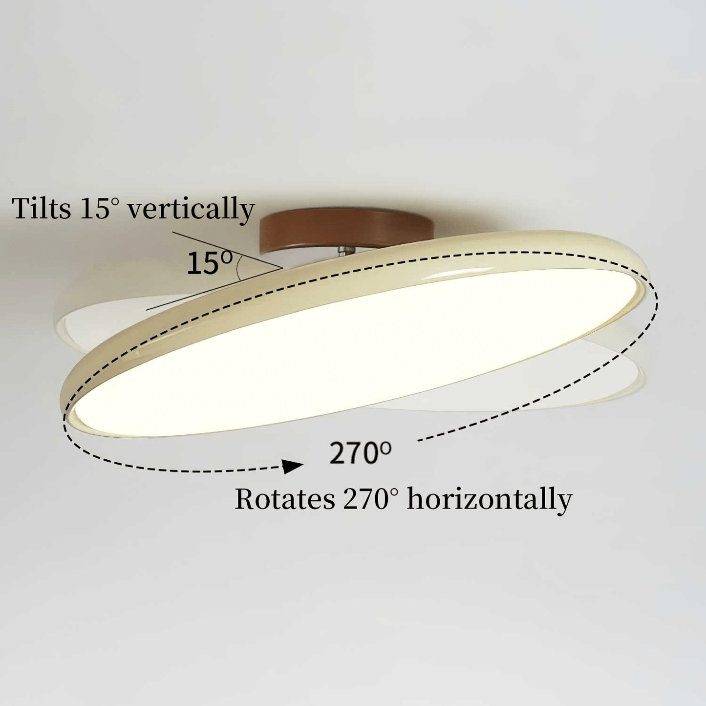 Disc Adjustable Ceiling Lamp