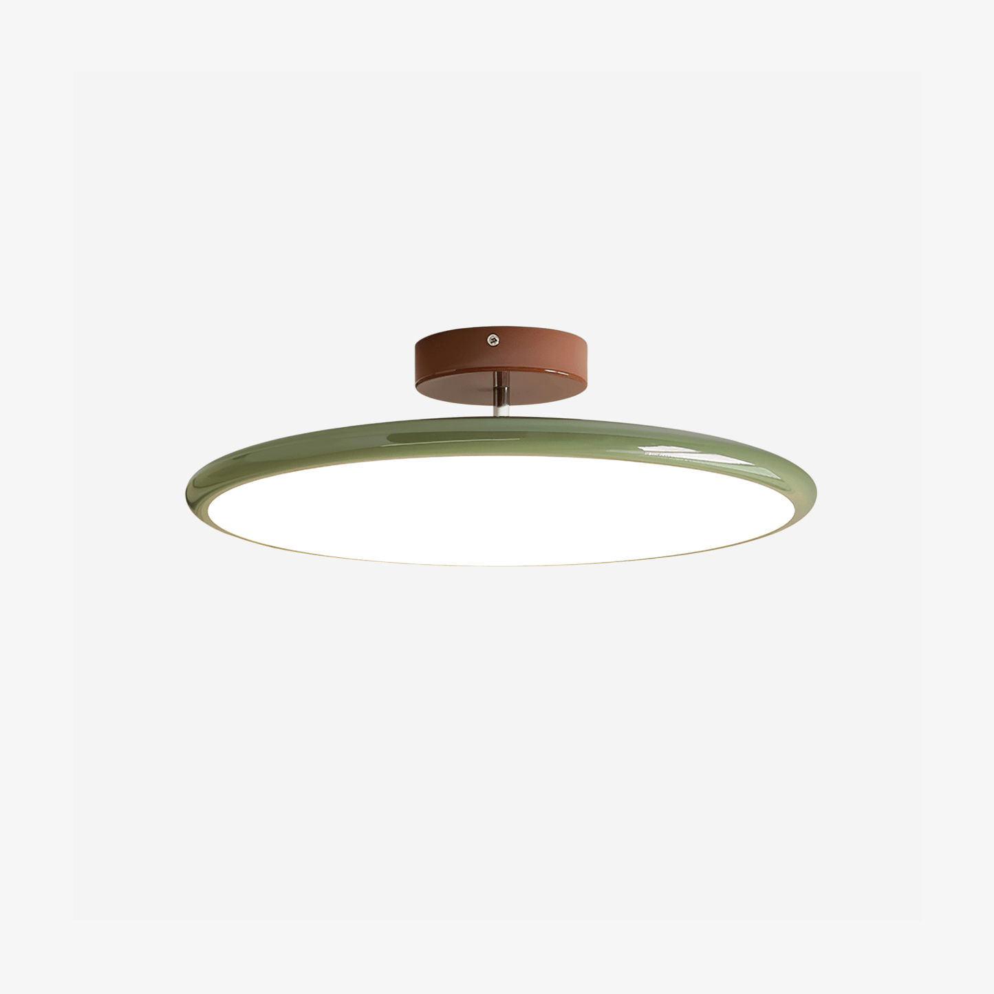 Disc Adjustable Ceiling Lamp