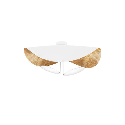Arc Disc Ceiling Light
