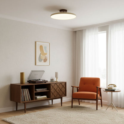 Disc Adjustable Ceiling Lamp