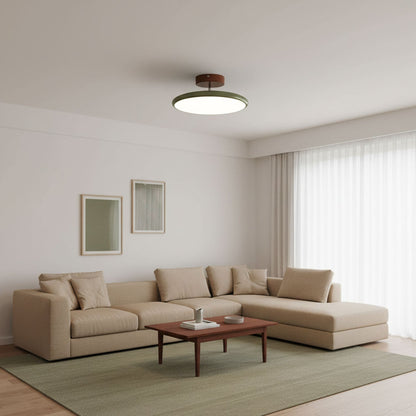 Disc Adjustable Ceiling Lamp