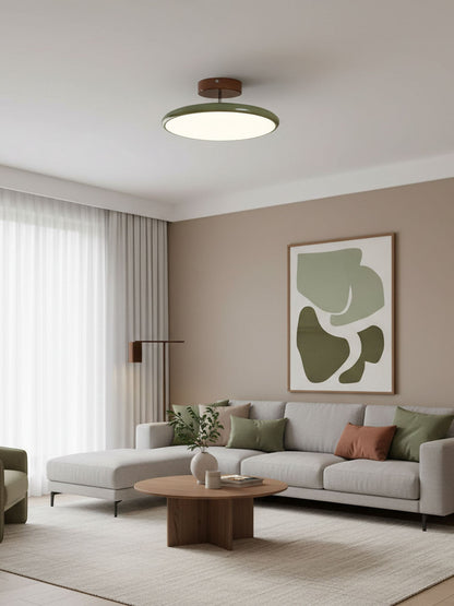 Disc Adjustable Ceiling Lamp