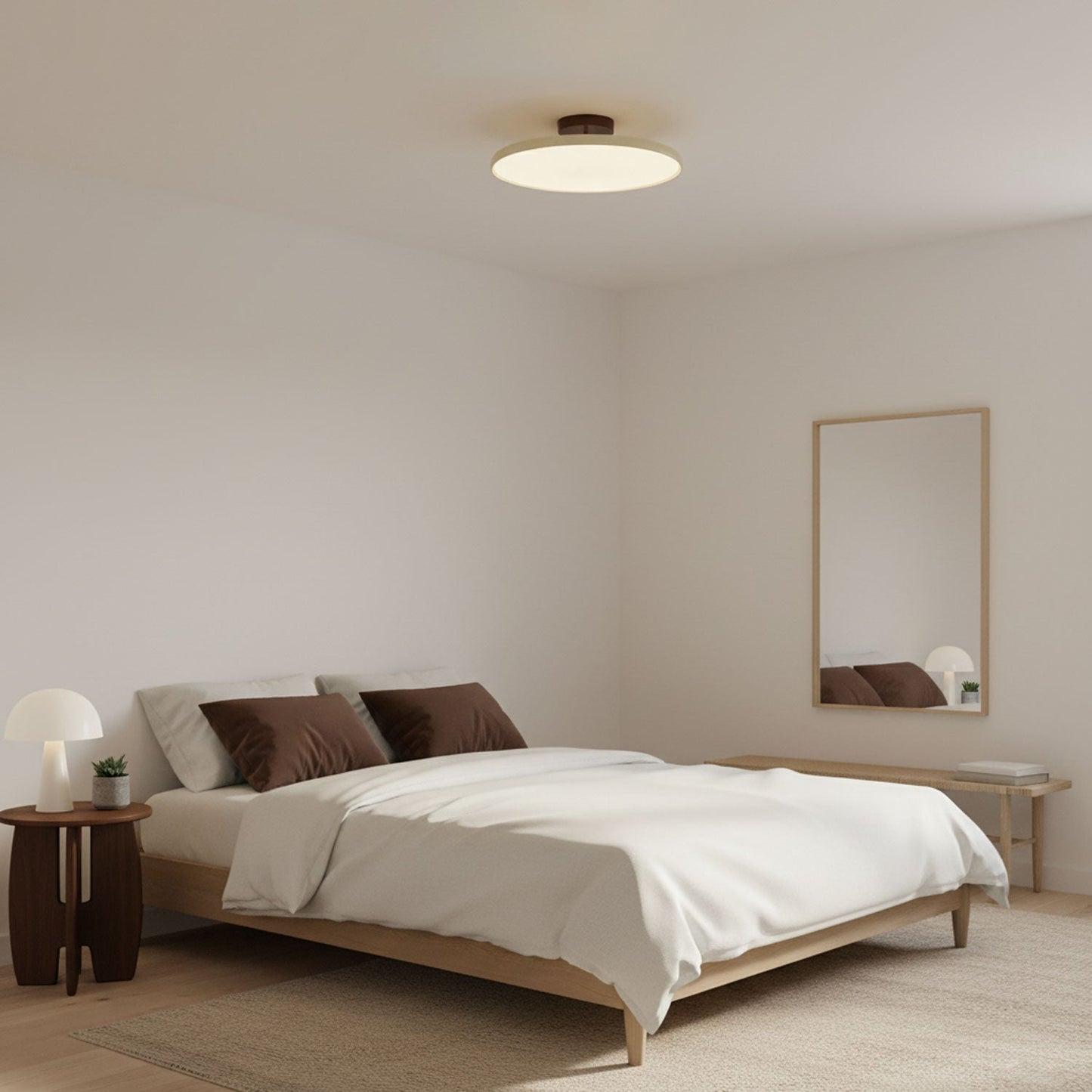 Disc Adjustable Ceiling Lamp