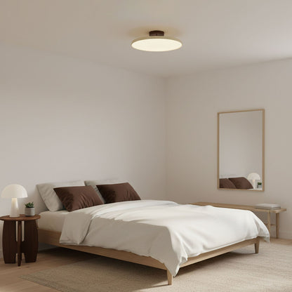 Disc Adjustable Ceiling Lamp