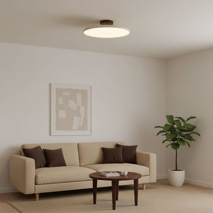 Disc Adjustable Ceiling Lamp