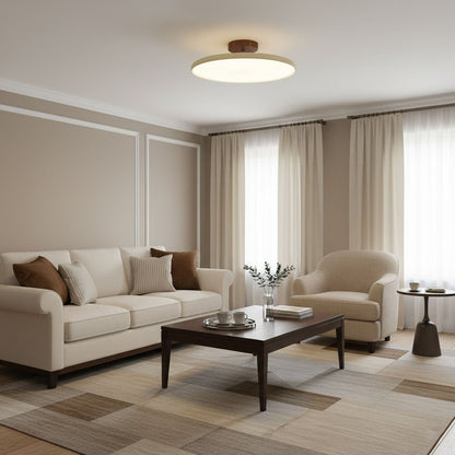 Disc Adjustable Ceiling Lamp