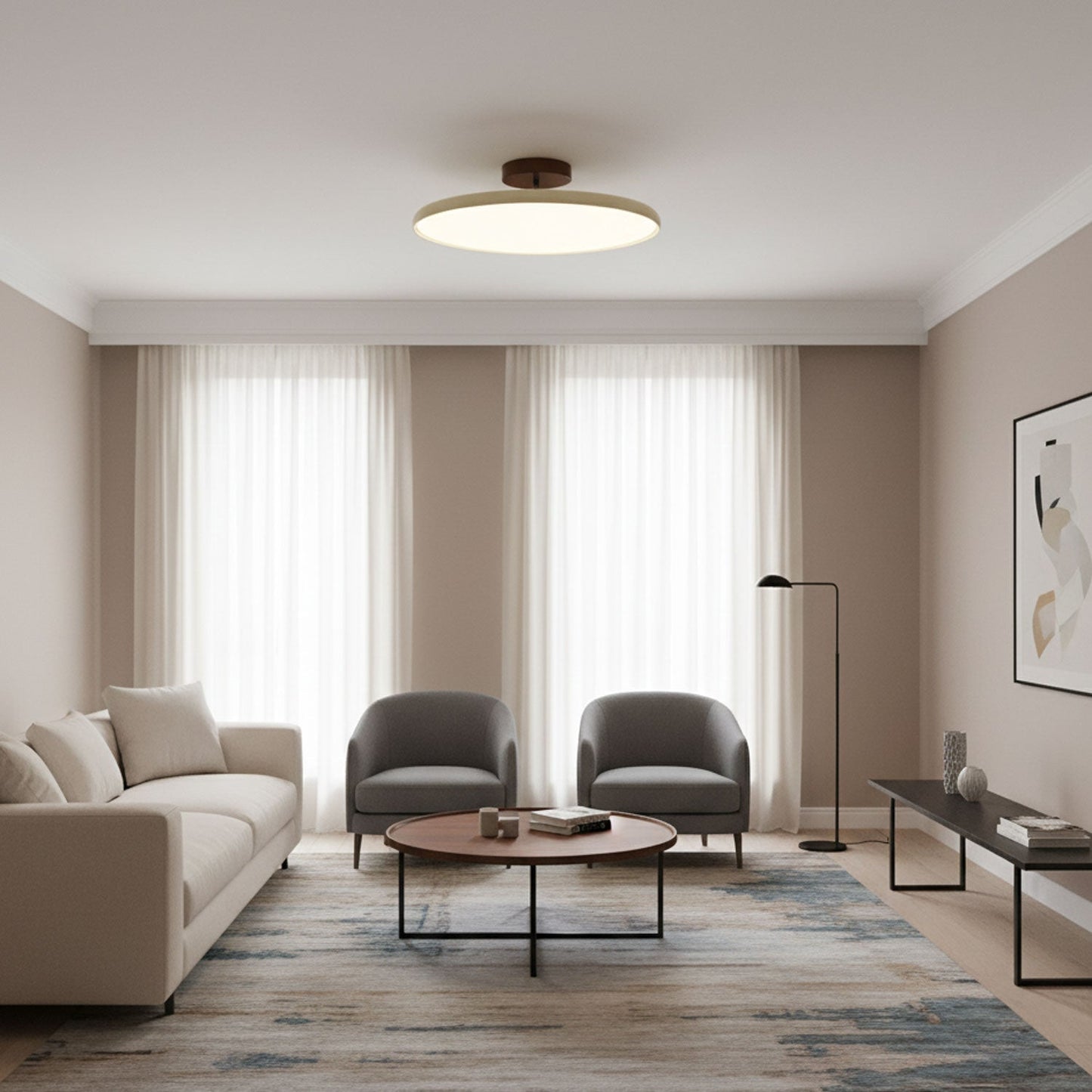 Disc Adjustable Ceiling Lamp