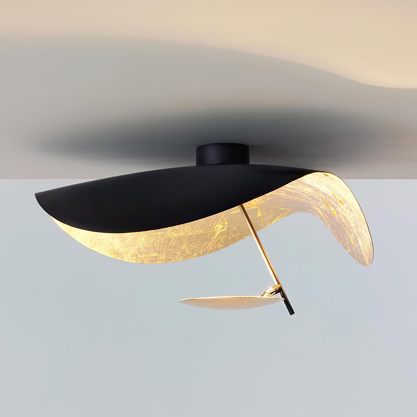 Arc Disc Ceiling Light