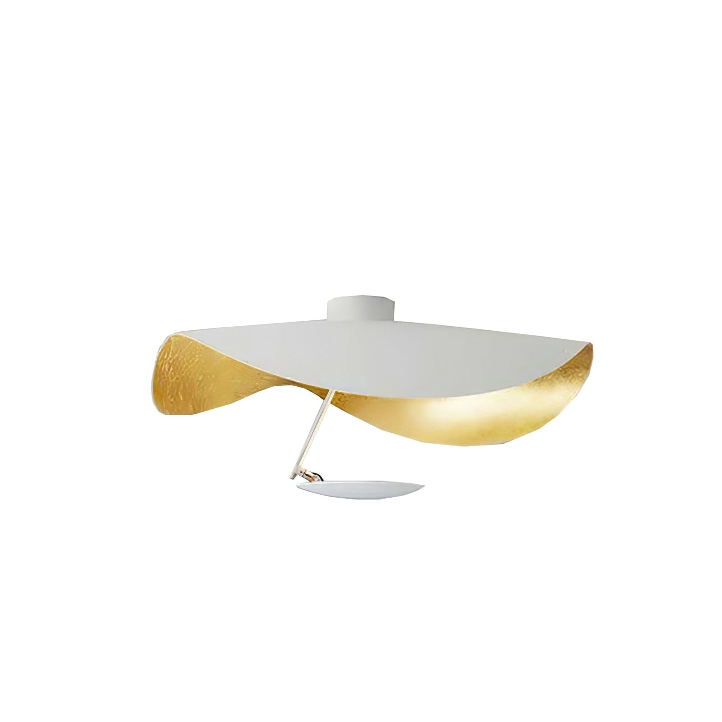 Arc Disc Ceiling Light