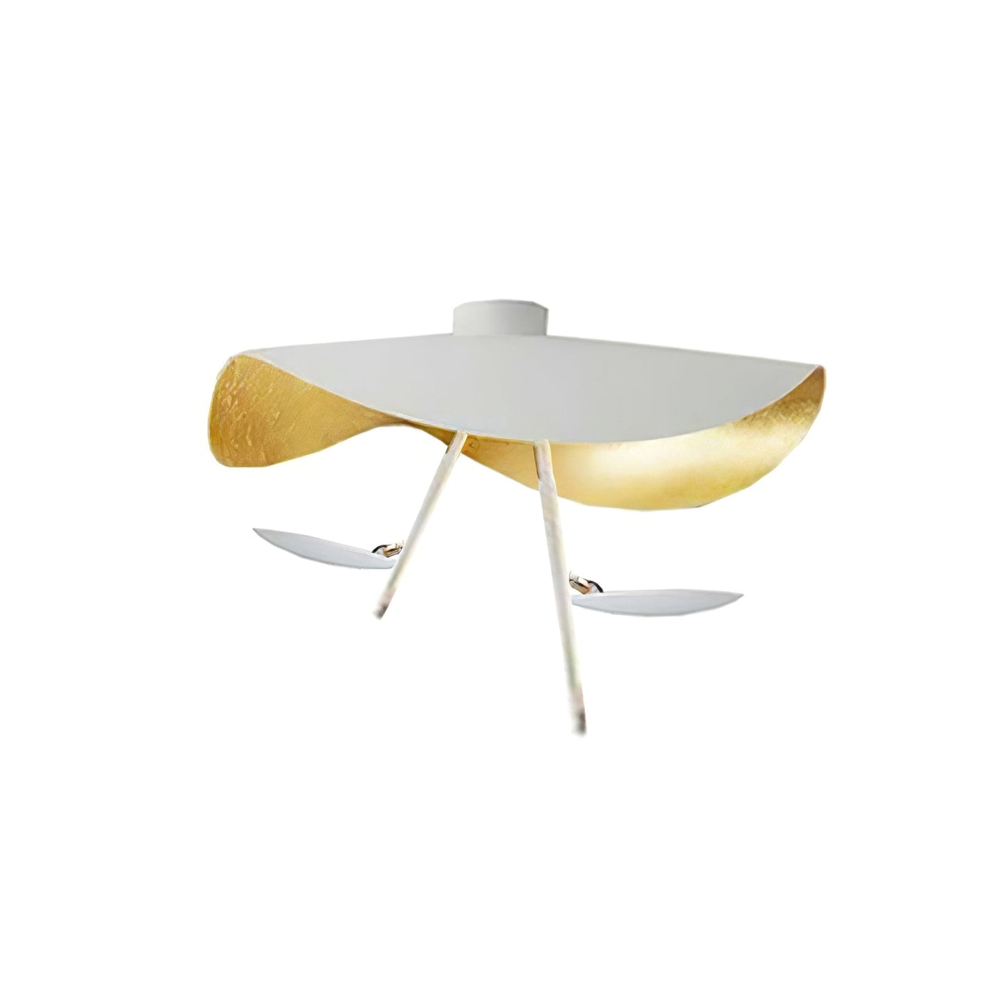 Arc Disc Ceiling Light