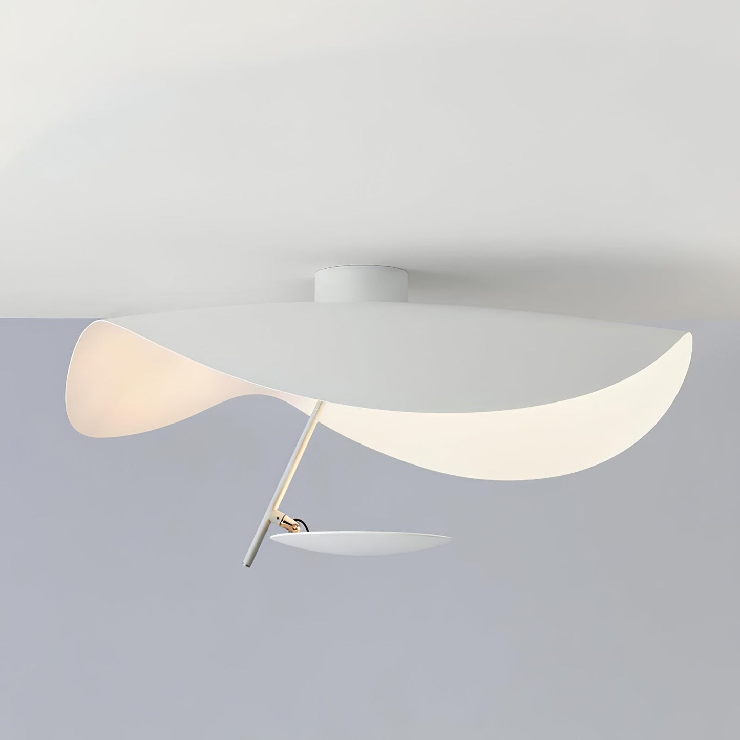 Arc Disc Ceiling Light