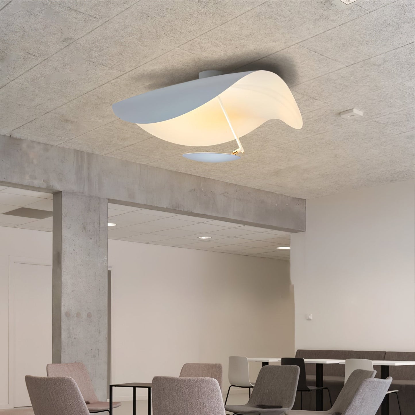 Arc Disc Ceiling Light