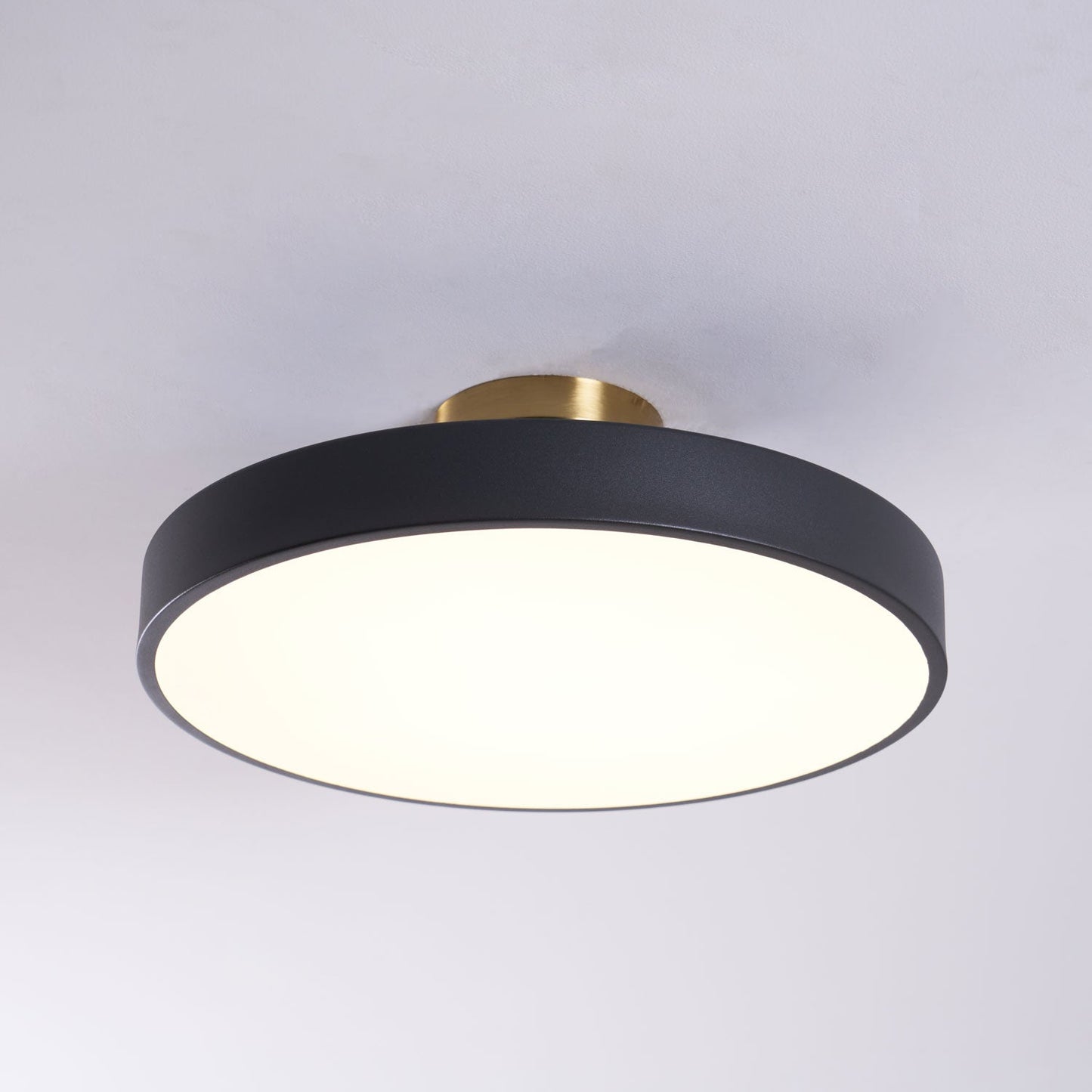 Halo Diffuser Ceiling Light