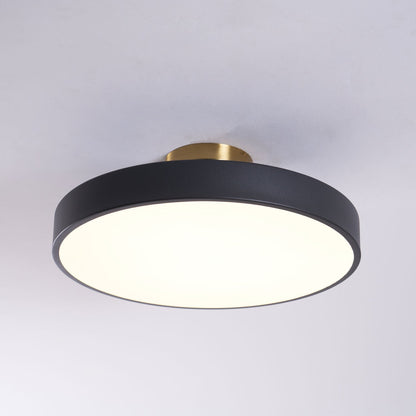 Halo Diffuser Ceiling Light