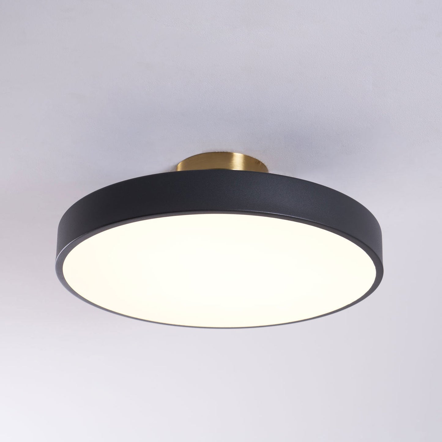 Halo Diffuser Ceiling Light