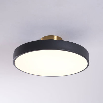 Halo Diffuser Ceiling Light