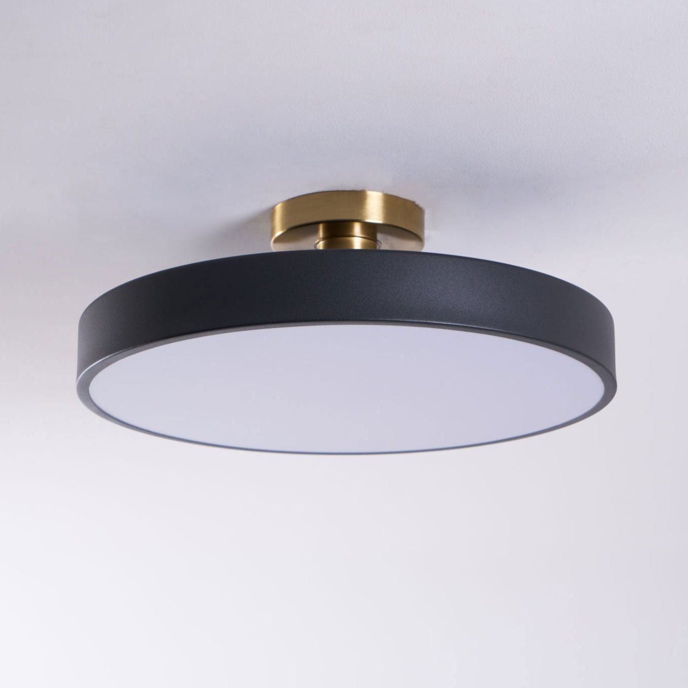 Halo Diffuser Ceiling Light