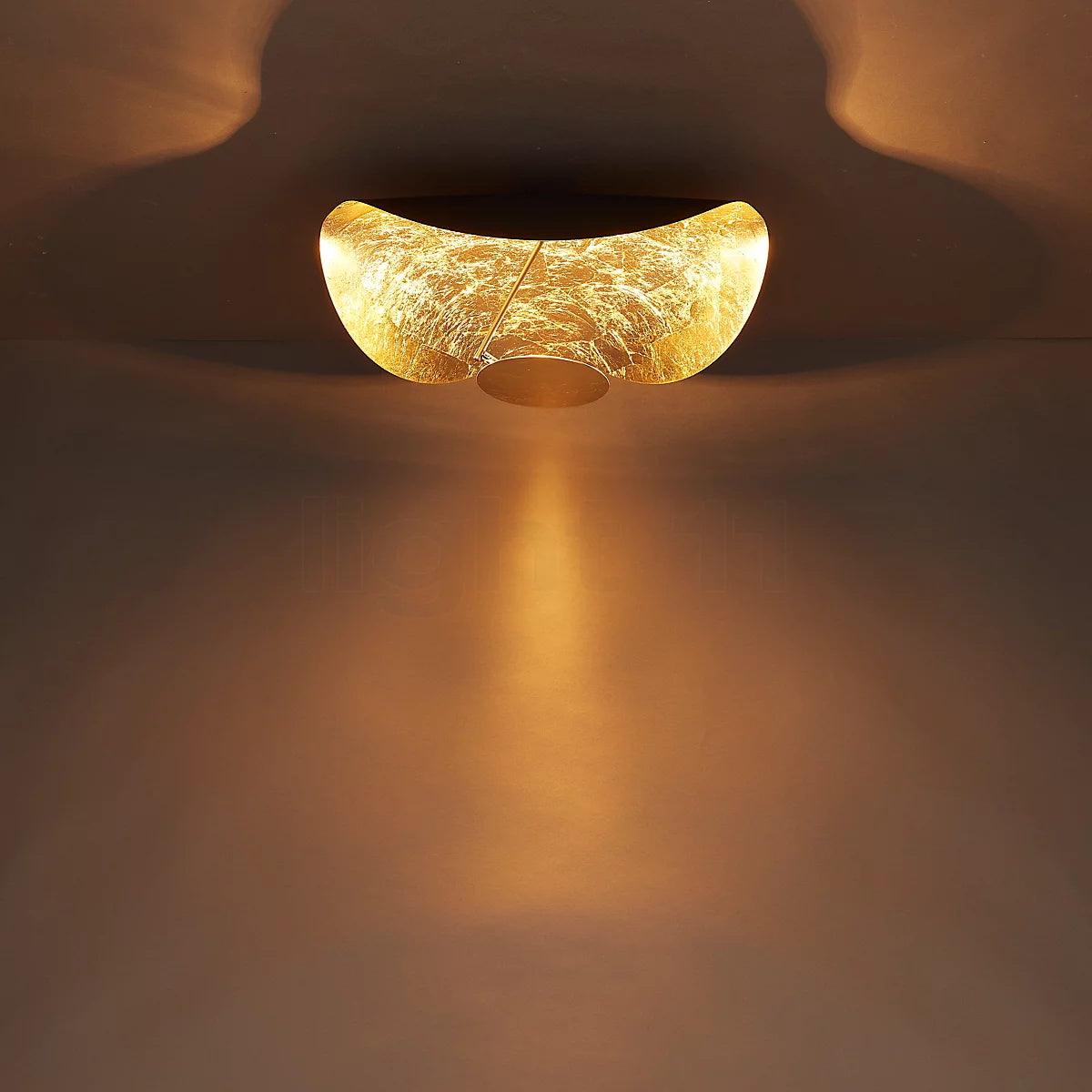 Arc Disc Ceiling Light
