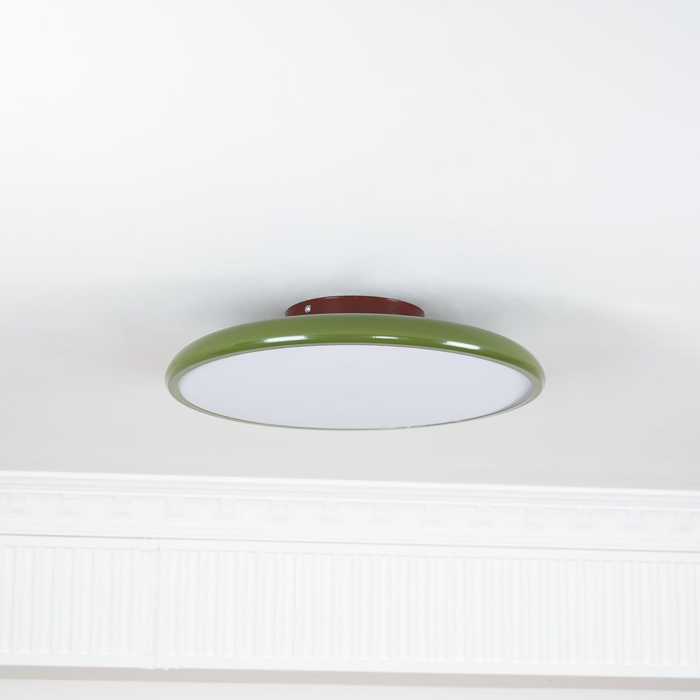 Disc Adjustable Ceiling Lamp