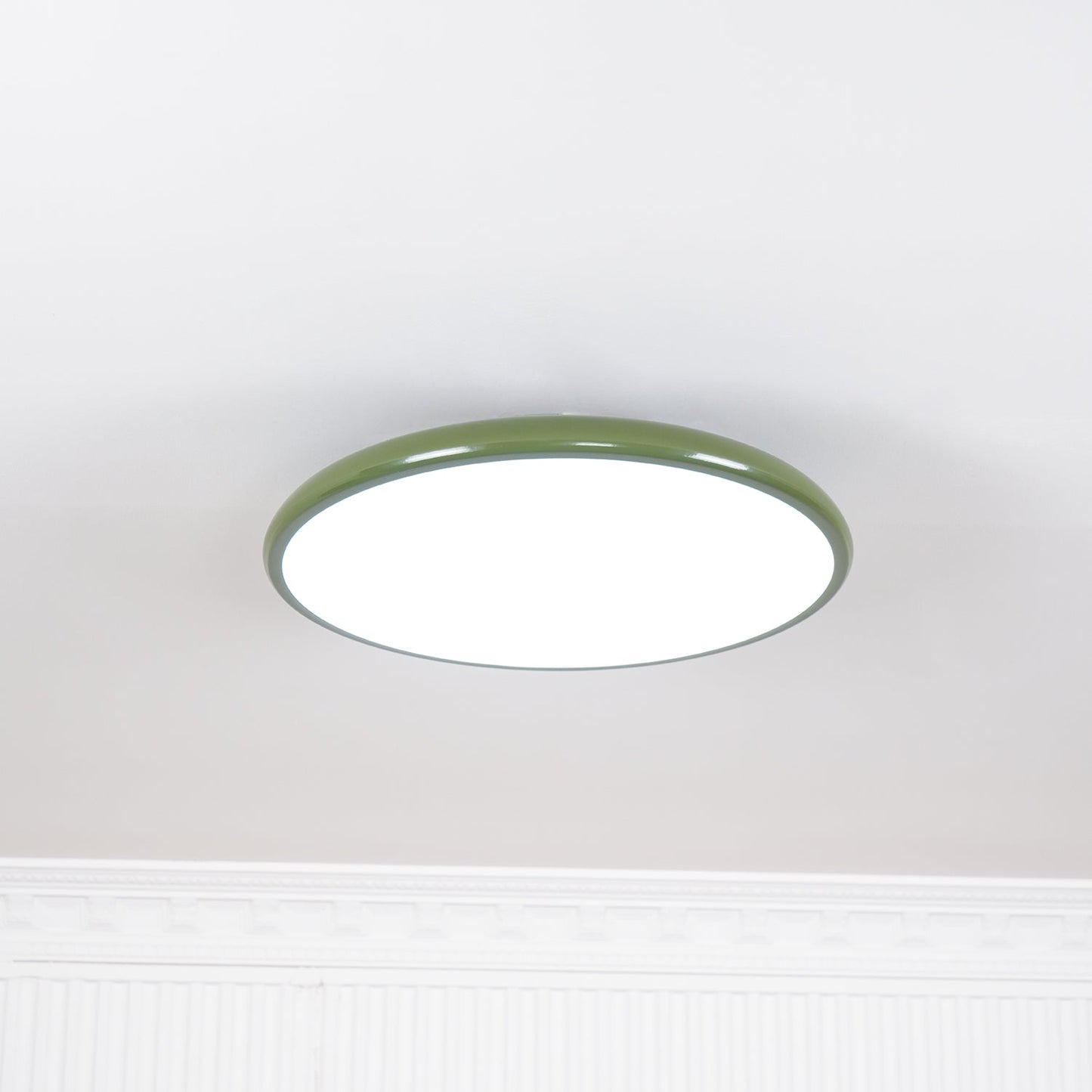 Disc Adjustable Ceiling Lamp