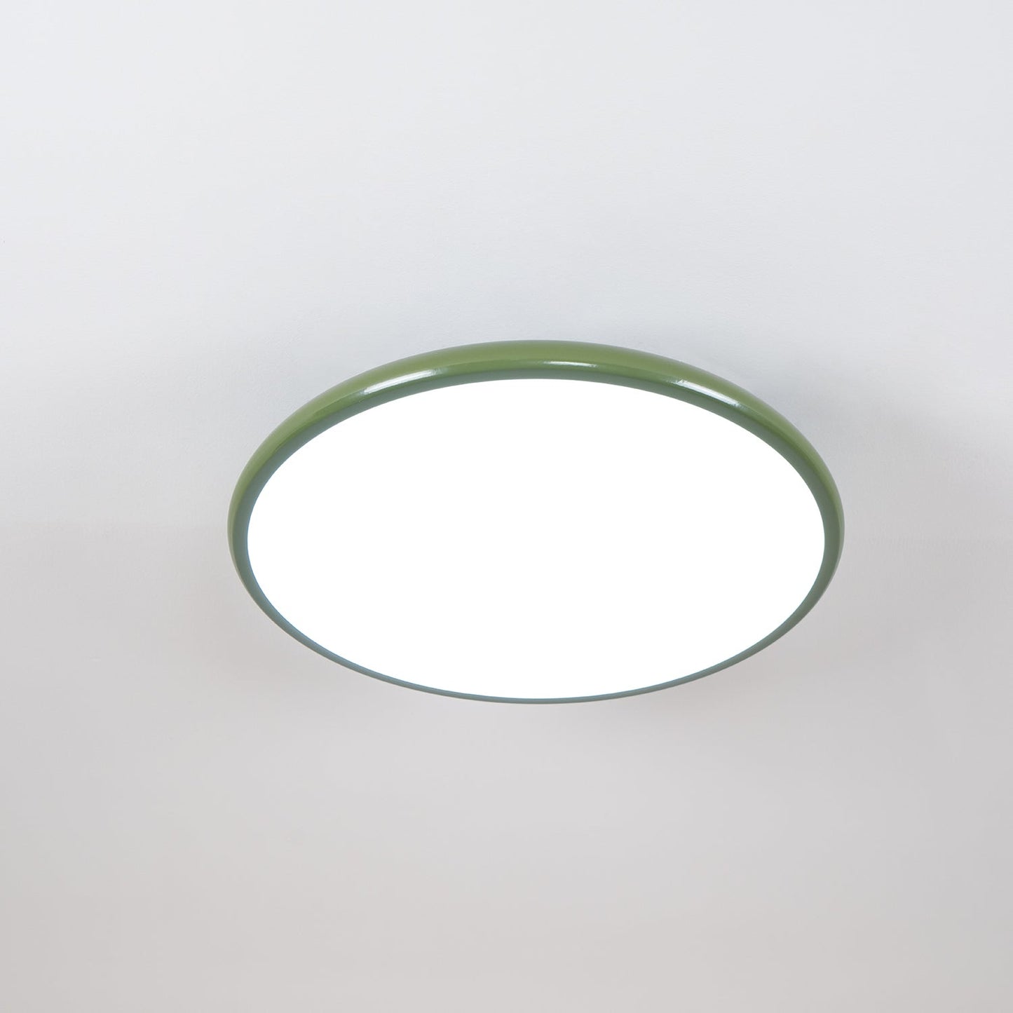 Disc Adjustable Ceiling Lamp