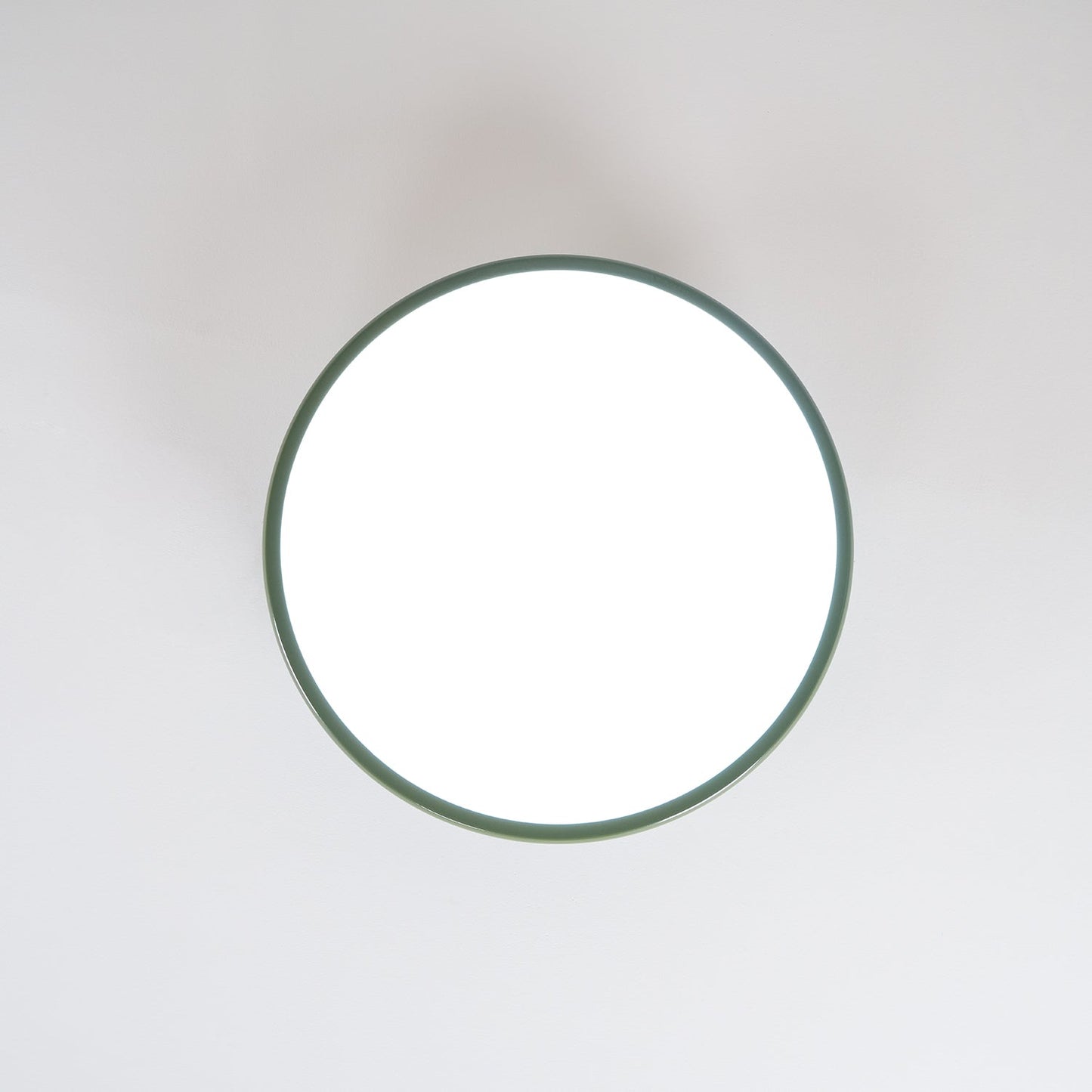 Disc Adjustable Ceiling Lamp