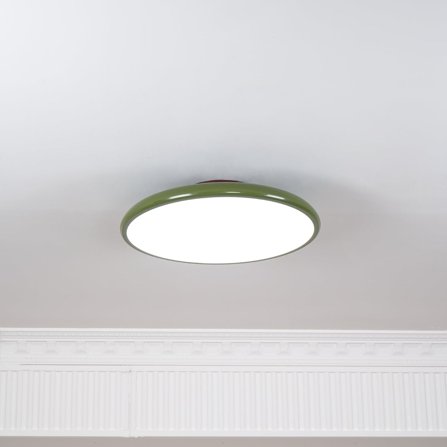 Disc Adjustable Ceiling Lamp