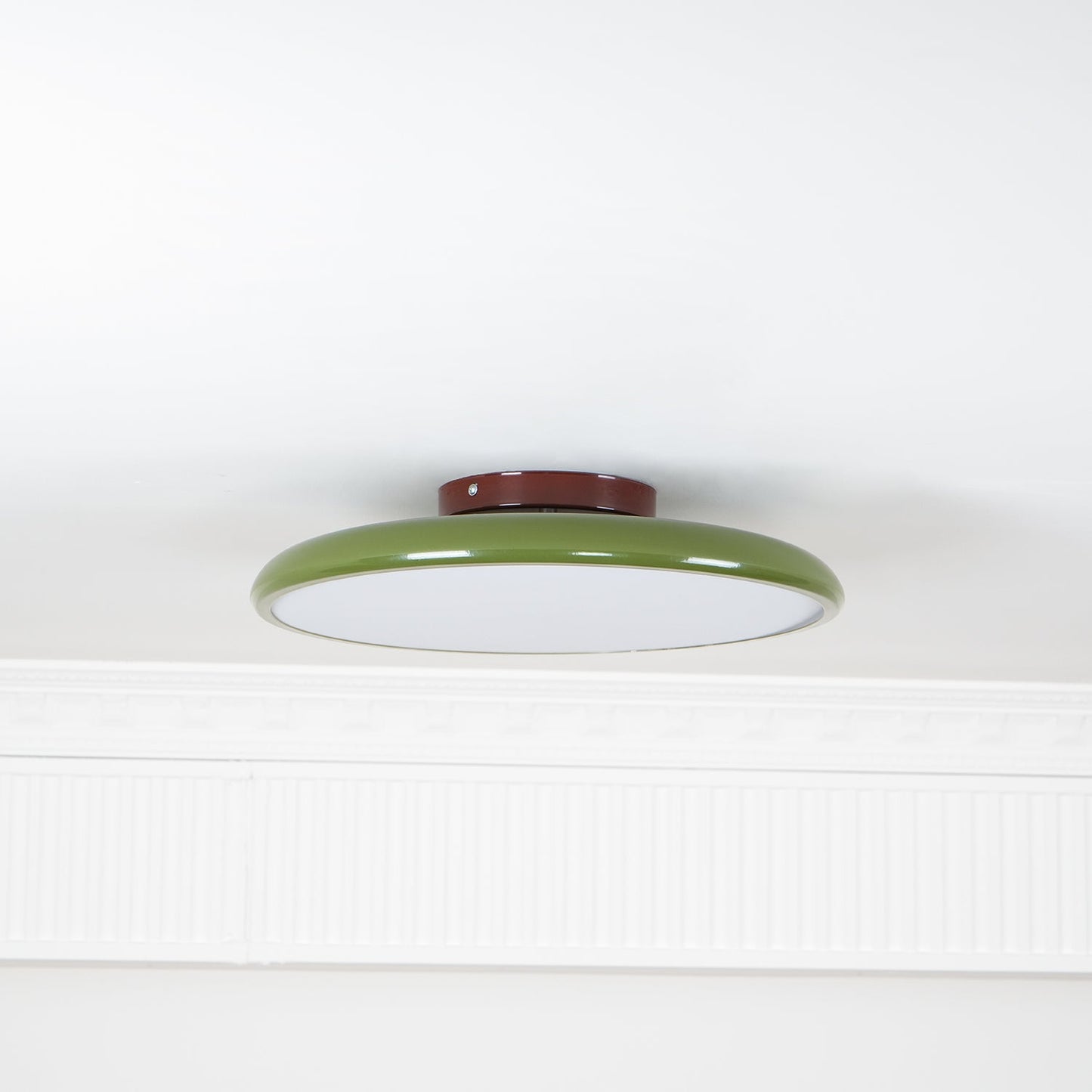 Disc Adjustable Ceiling Lamp