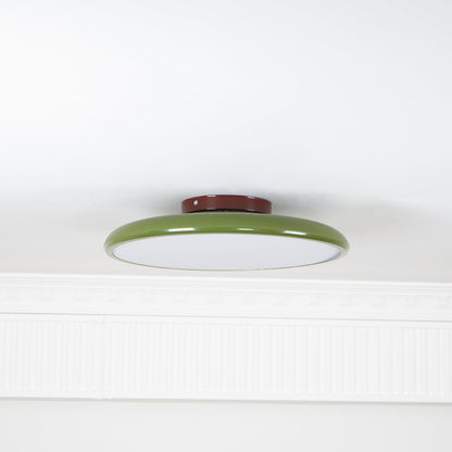 Disc Adjustable Ceiling Lamp