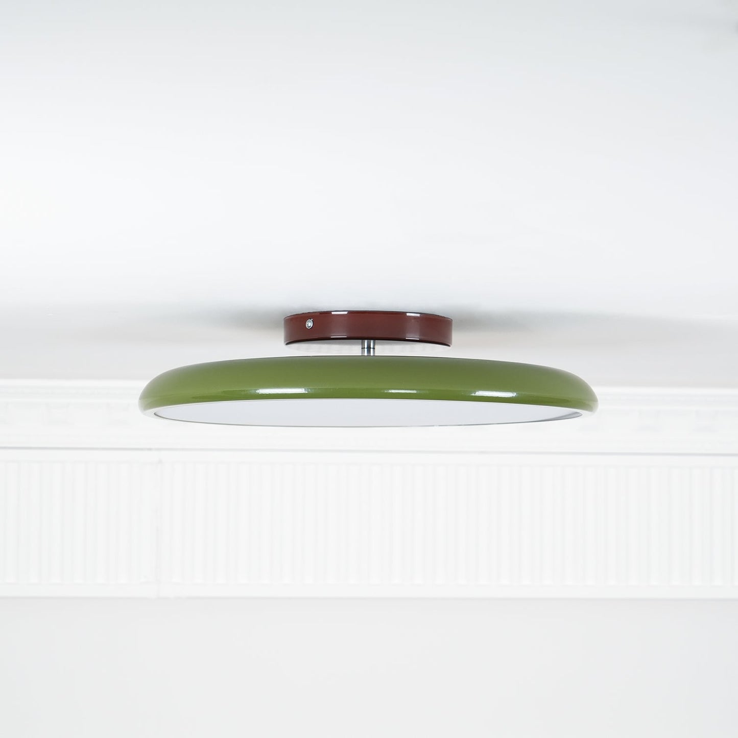 Disc Adjustable Ceiling Lamp