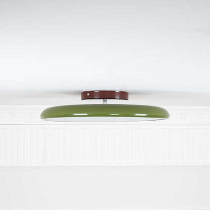 Disc Adjustable Ceiling Lamp