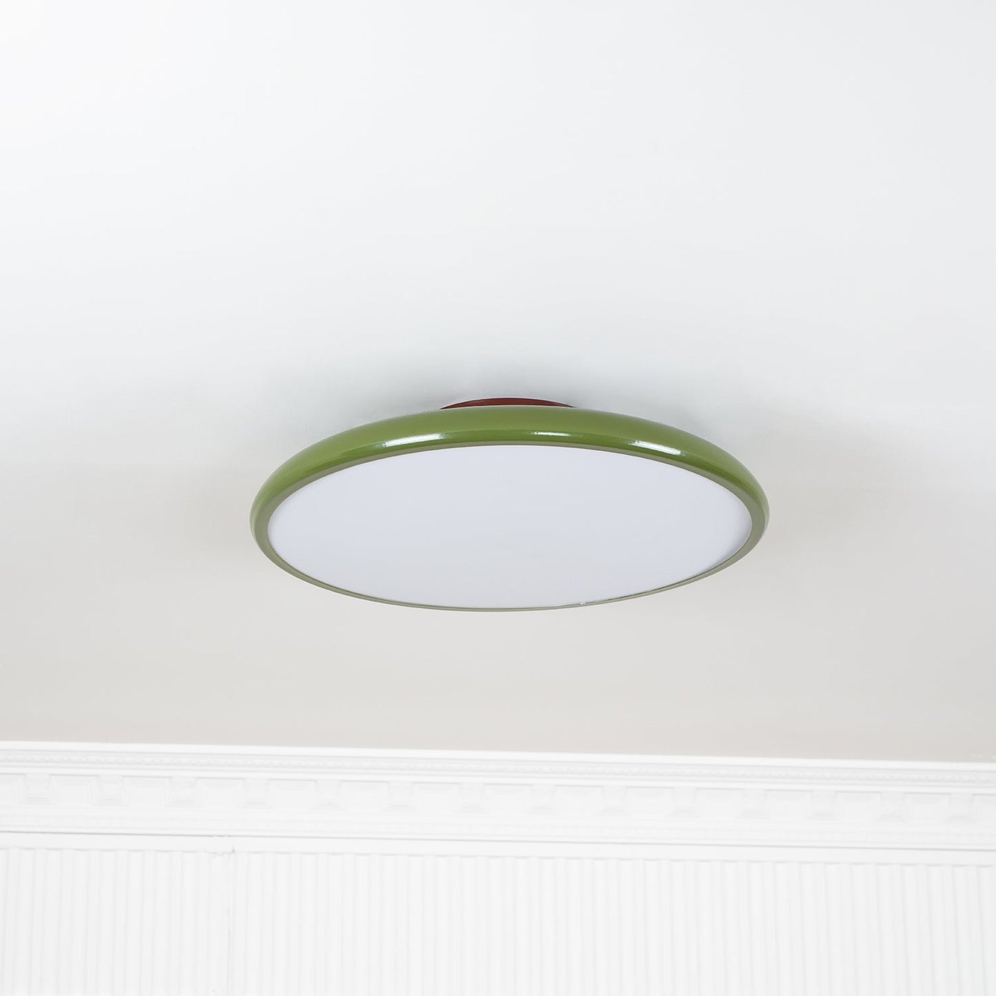 Disc Adjustable Ceiling Lamp