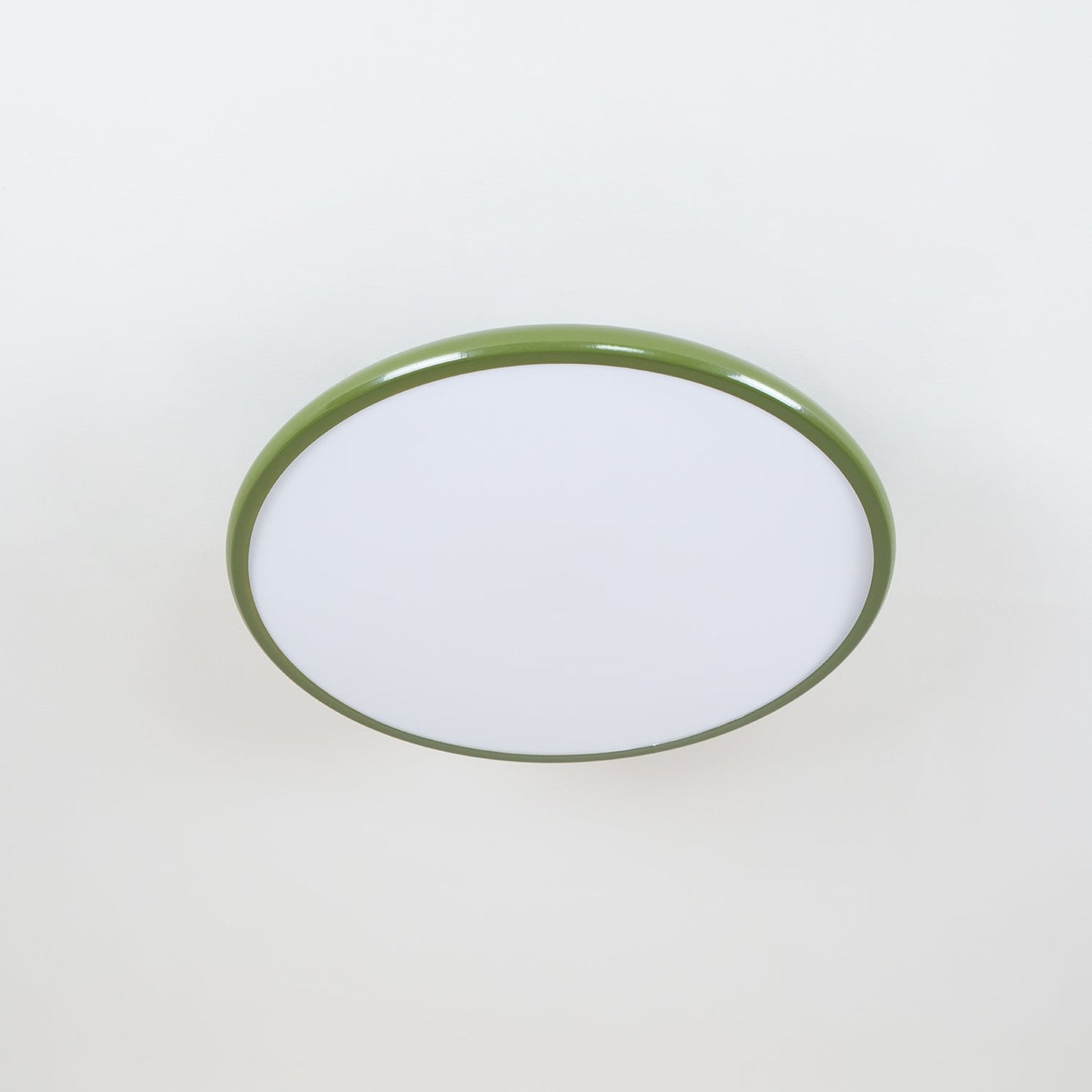 Disc Adjustable Ceiling Lamp