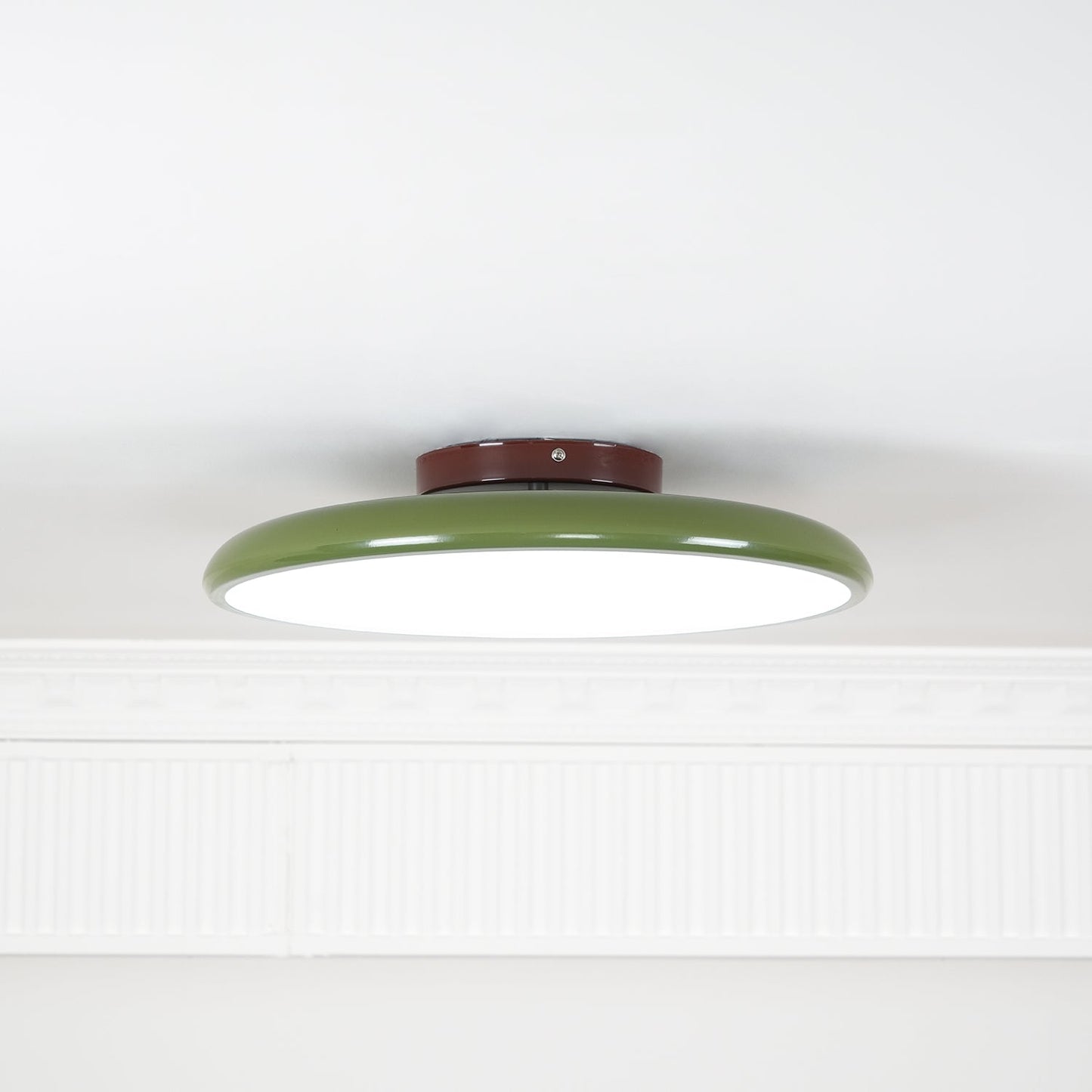 Disc Adjustable Ceiling Lamp