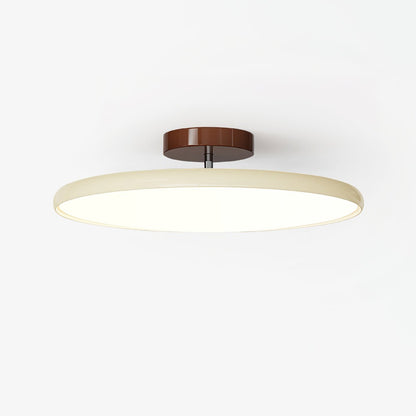 Disc Adjustable Ceiling Lamp