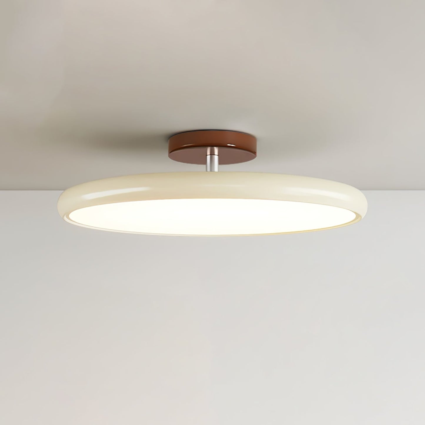 Disc Adjustable Ceiling Lamp