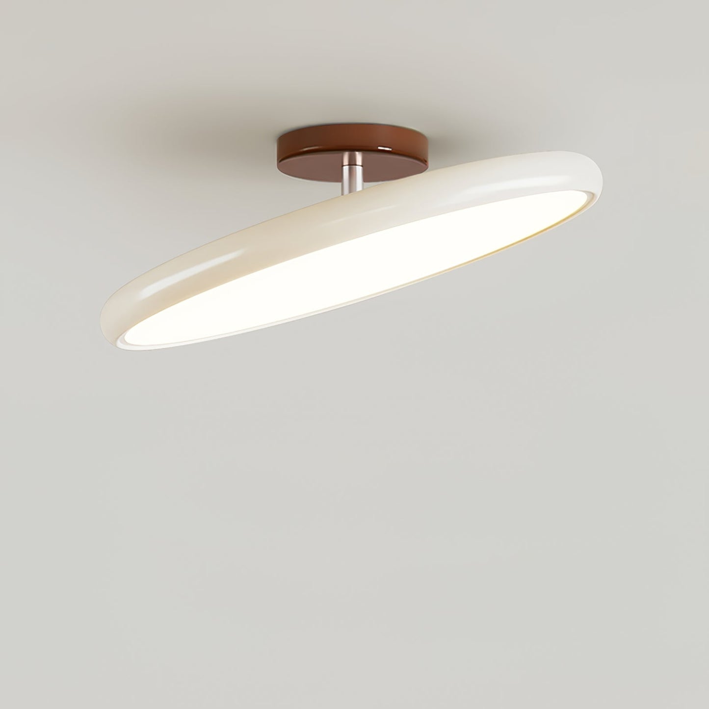 Disc Adjustable Ceiling Lamp