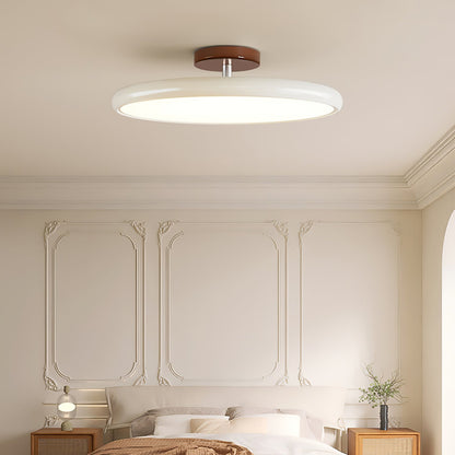 Disc Adjustable Ceiling Lamp