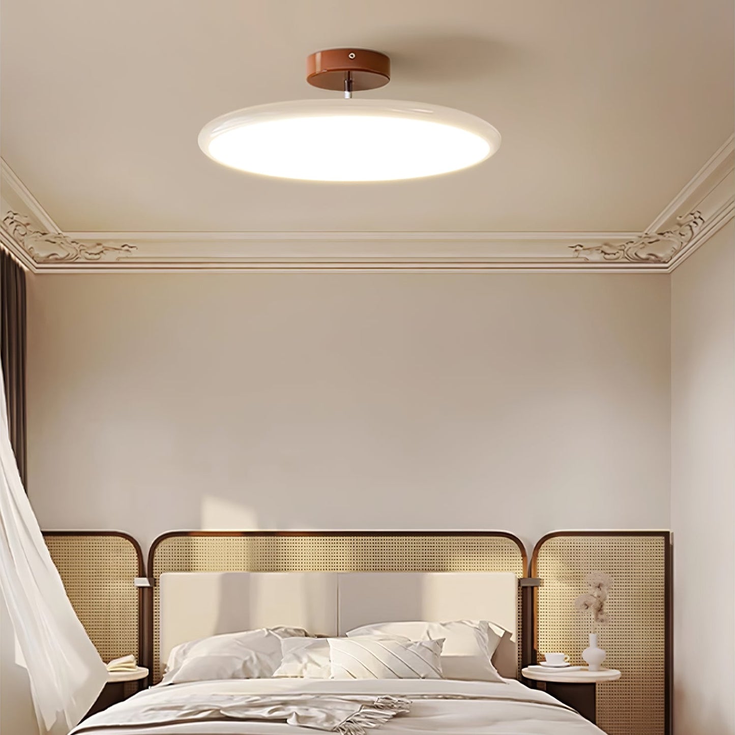 Disc Adjustable Ceiling Lamp
