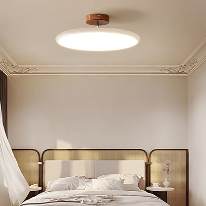 Disc Adjustable Ceiling Lamp