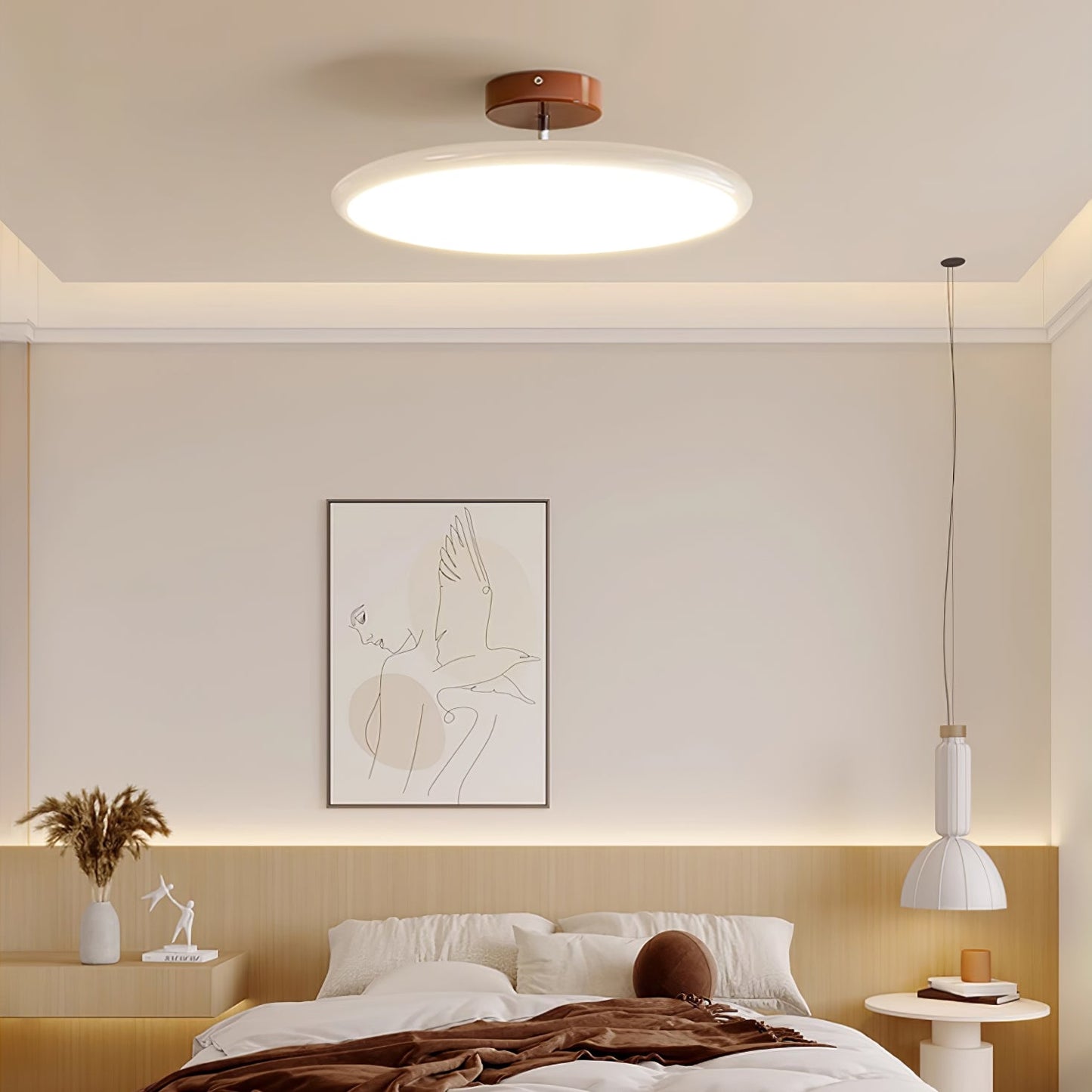 Disc Adjustable Ceiling Lamp