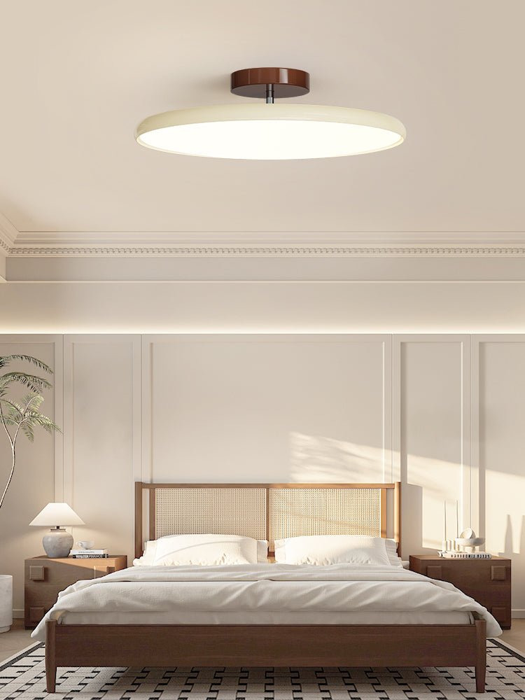 Disc Adjustable Ceiling Lamp