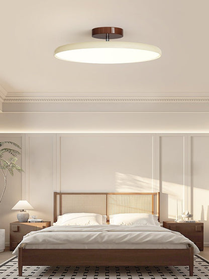 Disc Adjustable Ceiling Lamp