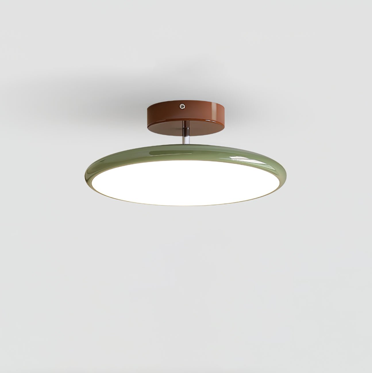 Disc Adjustable Ceiling Lamp