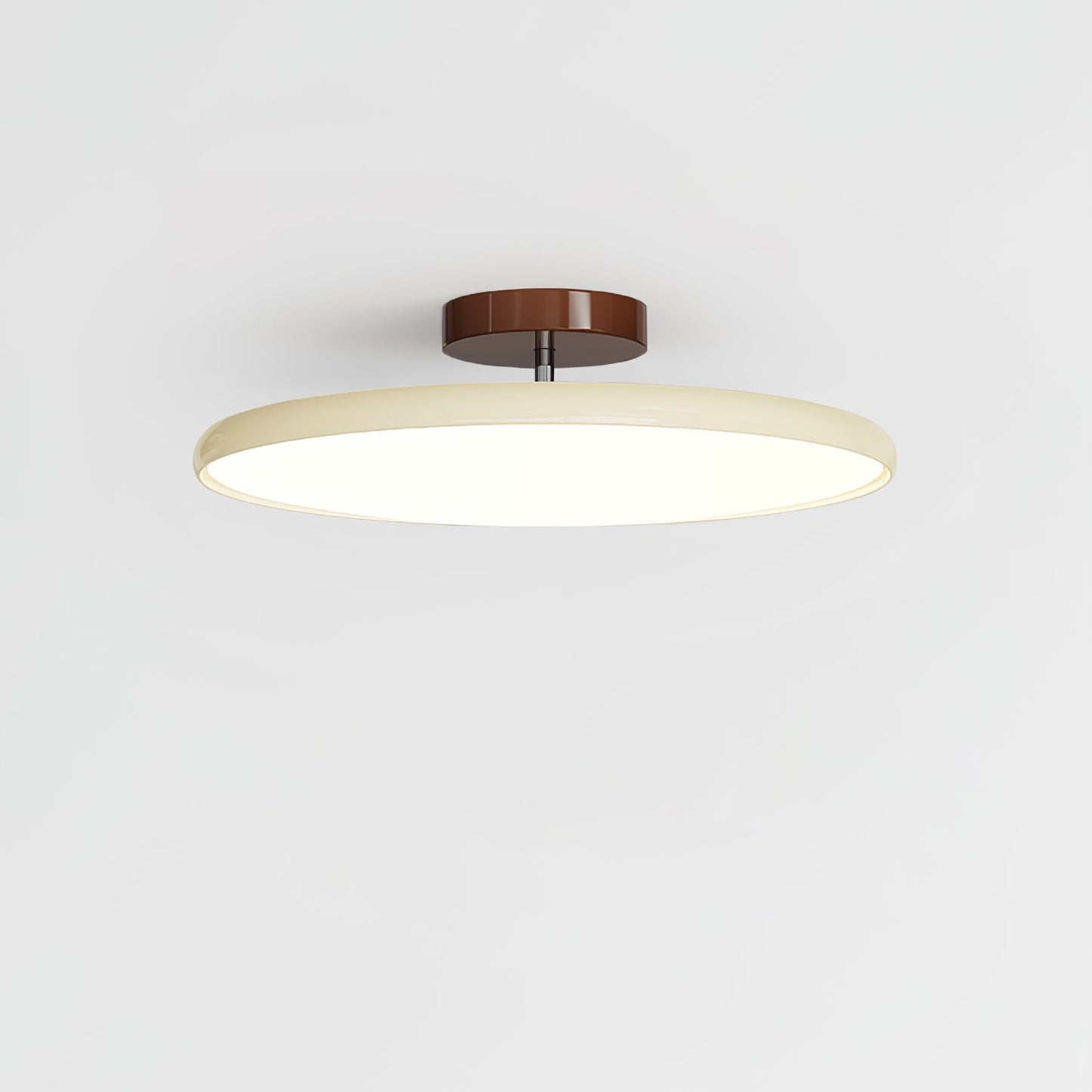 Disc Adjustable Ceiling Lamp