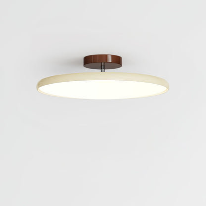 Disc Adjustable Ceiling Lamp