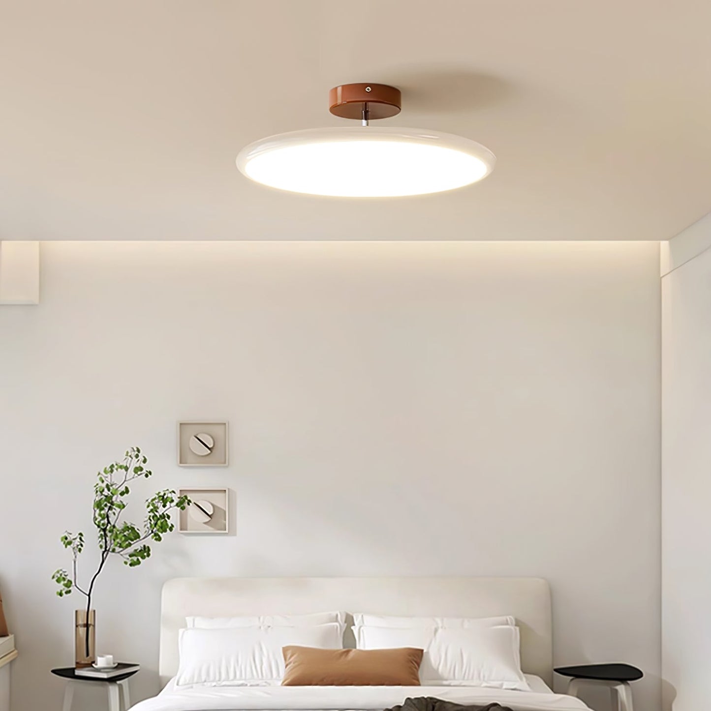 Disc Adjustable Ceiling Lamp